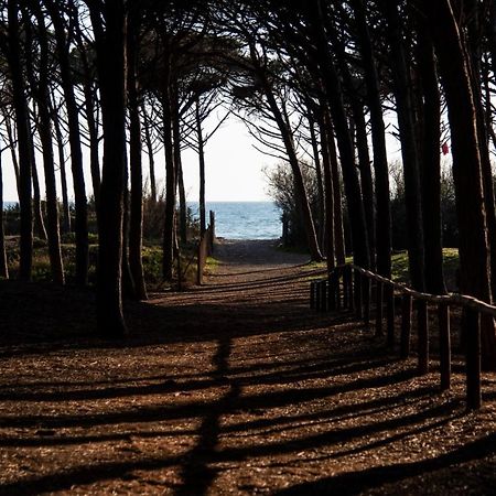 Appartamento Il Bucaniere A Marina Di Cecina Eksteriør billede